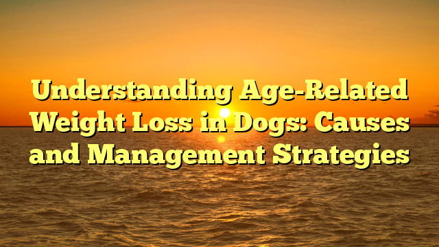 Understanding Age-Related Weight Loss in Dogs: Causes and Management Strategies